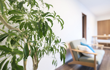 「本当に快適な家」とは？